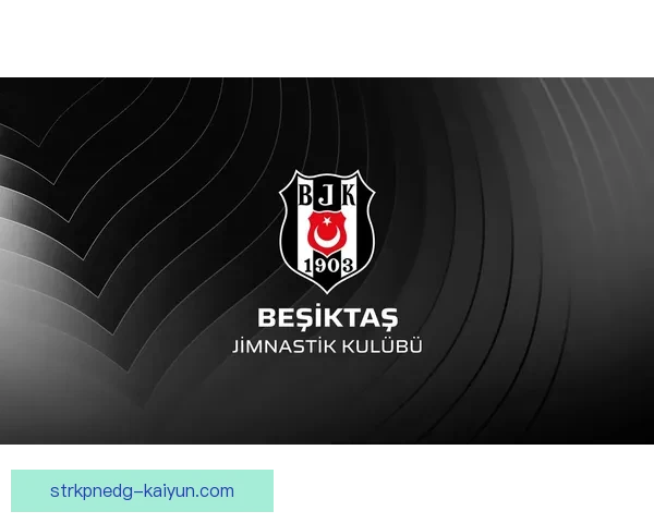 贝西克塔斯球队结构